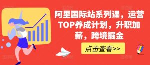 阿里国际站系列课，运营TOP养成计划，升职加薪，跨境掘金-吗喽副业资源站
