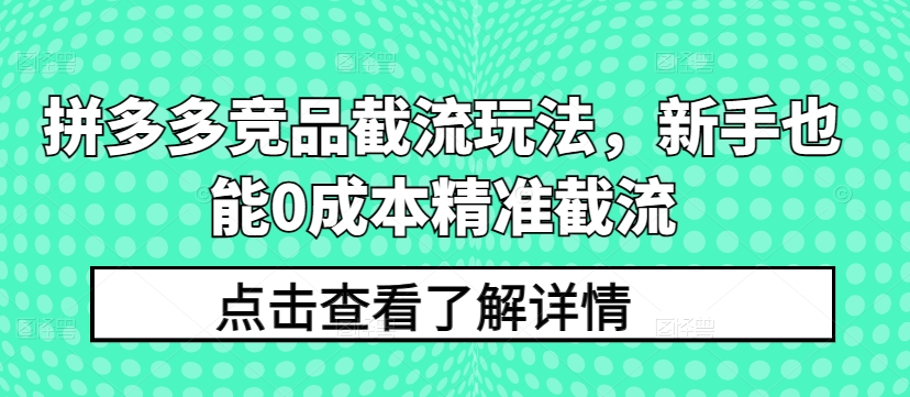 拼多多竞品截流玩法，新手也能0成本精准截流-吗喽副业资源站