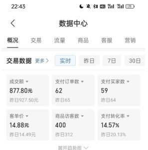 拼多多虚拟U盘电商红利项目：月赚2万+，新手小白也能玩-吗喽副业资源站