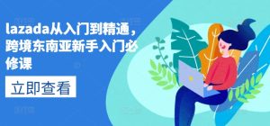 lazada从入门到精通，跨境东南亚新手入门必修课-吗喽副业资源站