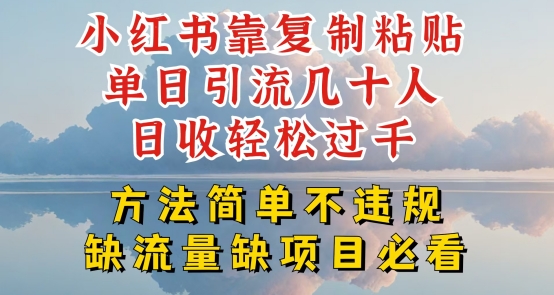 小红书靠复制粘贴单日引流几十人目收轻松过千，方法简单不违规【揭秘】-吗喽副业资源站