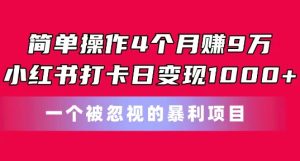 简单操作4个月赚9w，小红书打卡日变现1k，一个被忽视的暴力项目【揭秘】-吗喽副业资源站