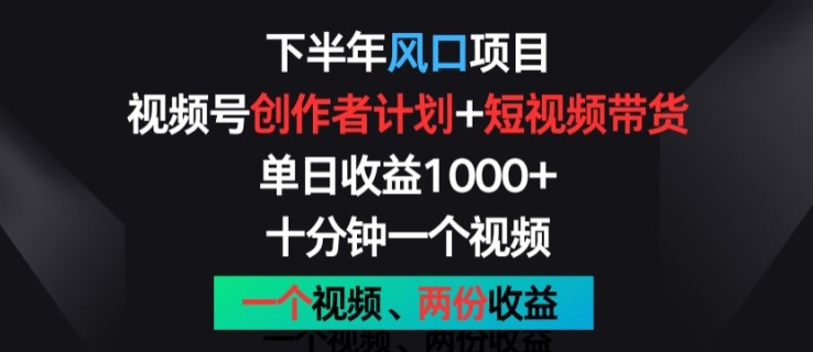 下半年风口项目，视频号创作者计划+视频带货，一个视频两份收益，十分钟一个视频【揭秘】-吗喽副业资源站