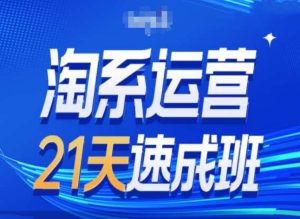 淘系运营24天速成班第28期最新万相台无界带免费流量-吗喽副业资源站