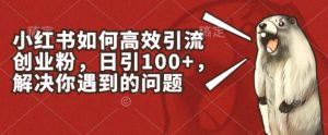 小红书如何高效引流创业粉，日引100+，解决你遇到的问题【揭秘】-吗喽副业资源站