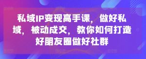 私域IP变现高手课,做好私域,被动成交,教你如何打造好朋友圈做好社群-吗喽副业资源站