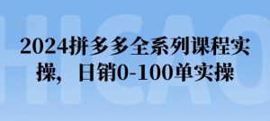 2024拼多多全系列课程实操，日销0-100单实操【必看】-吗喽副业资源站
