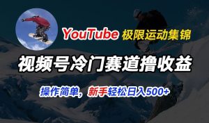 视频号冷门赛道撸收益，YouTube搬运极限运动集锦，暴力起号，操作简单流量高，轻松日入5张【揭秘】-吗喽副业资源站