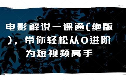 电影解说一课通(绝版)，带你轻松从0进阶为短视频高手-吗喽副业资源站