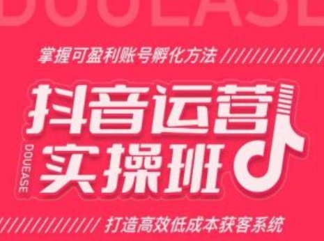 抖音运营实操班，掌握可盈利账号孵化方法，打造高效低成本获客系统-吗喽副业资源站