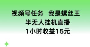 视频号任务，我是螺丝王， 半无人挂机1小时收益15元【揭秘】-吗喽副业资源站
