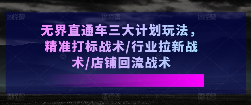 无界直通车三大计划玩法，精准打标战术/行业拉新战术/店铺回流战术-吗喽副业资源站