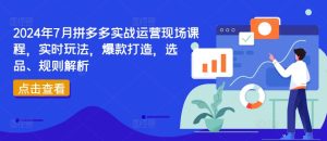 2024拼多多实战课：边上班边学，打造副业爆款秘籍，选品+规则全攻略！-吗喽副业资源站