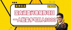 兼职新风口：国内问卷调查矩阵，一人多号操作，轻松副业月入3000+-吗喽副业资源站
