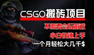 CSGO装备交易新风口，副业赚钱神器！无需游戏技巧，小白月入过万秘籍-吗喽副业资源站