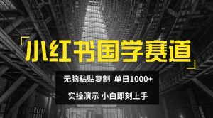 小红书国学爆单秘籍：无脑复制粘贴，日入1K副业，小白秒变高手！-吗喽副业资源站