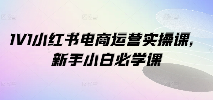 小红书电商运营实战1V1秘训：新手小白逆袭必修课-吗喽副业资源站