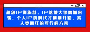 超级IP孵化营：揭秘素人逆袭网红之路，IP实战大课，引领个人品牌新纪元-吗喽副业资源站