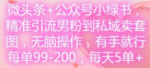 微头条+公众号小绿书，精准引流男粉到私域卖套图，无脑操作，有手就行，每单99-200，每天5单-吗喽副业资源站