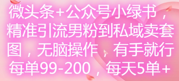 微头条+公众号小绿书，精准引流男粉到私域卖套图，无脑操作，有手就行，每单99-200，每天5单-吗喽副业资源站