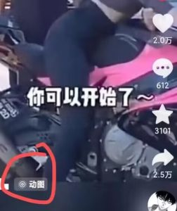 苹果手机动图搬运秘籍，2024年7月热门副业，边玩边赚新潮流！-吗喽副业资源站