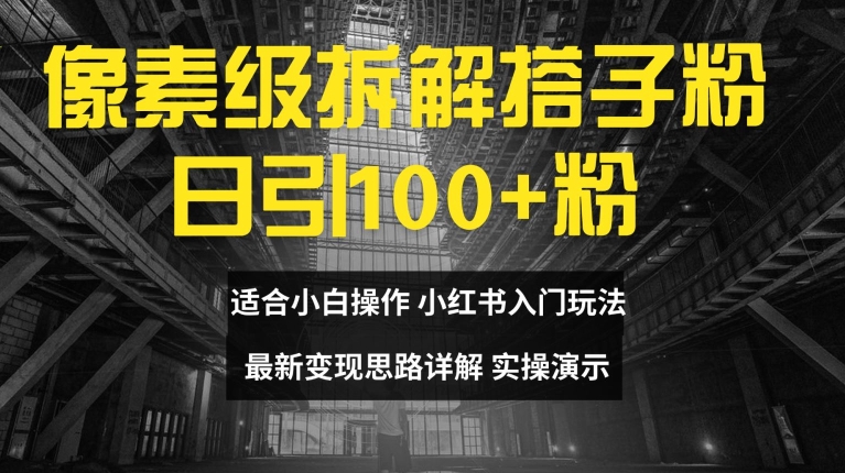 日赚百元秘籍！像素级解析搭子粉变现术，小白秒懂上手-吗喽副业资源站