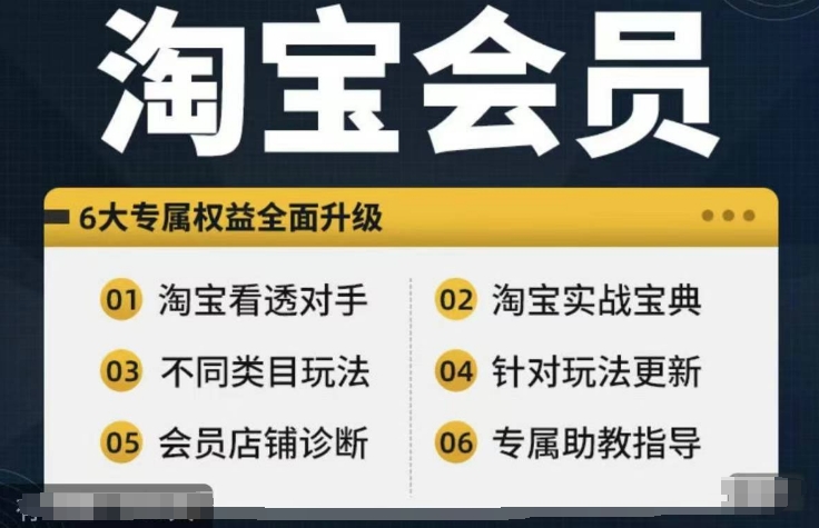 淘宝会员实战宝典：全课程精通，一键超越竞争对手-吗喽副业资源站