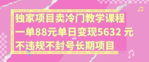 冷门教学课狂赚！88元/单日入5632元，揭秘永久合规暴利副业项目-吗喽副业资源站