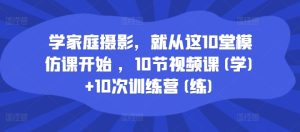 学家庭摄影，就从这10堂模仿课开始 ，10节视频课(学)+10次训练营(练)-吗喽副业资源站