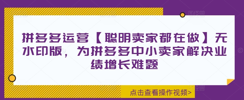 拼多多运营【聪明卖家都在做】无水印版，为拼多多中小卖家解决业绩增长难题-吗喽副业资源站