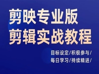 剪映专业版：实战剪辑高手养成计划，日进千里，精通每一天-吗喽副业资源站