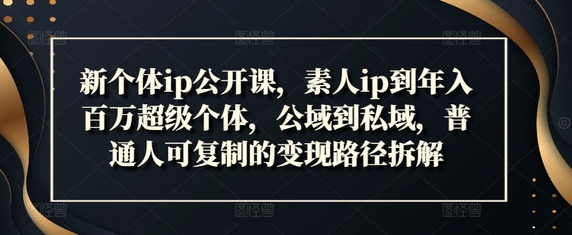 素人逆袭百万IP：公域私域全攻略，普通人年赚百万变现秘籍大公开-吗喽副业资源站