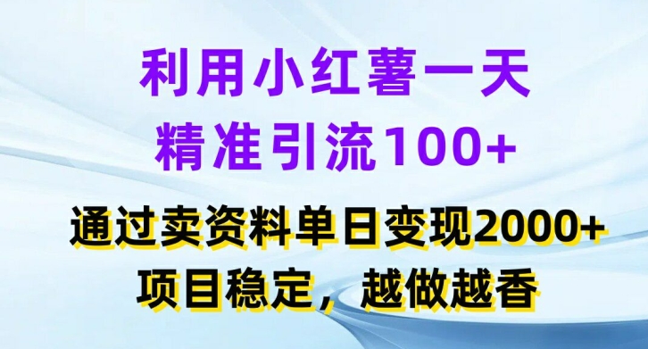 小红书日引百流，卖项目日赚2K+，稳定盈利秘籍大公开-吗喽副业资源站