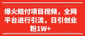 日赚万粉秘籍：爆火赔付项目视频，全网霸屏引流大法揭秘-吗喽副业资源站