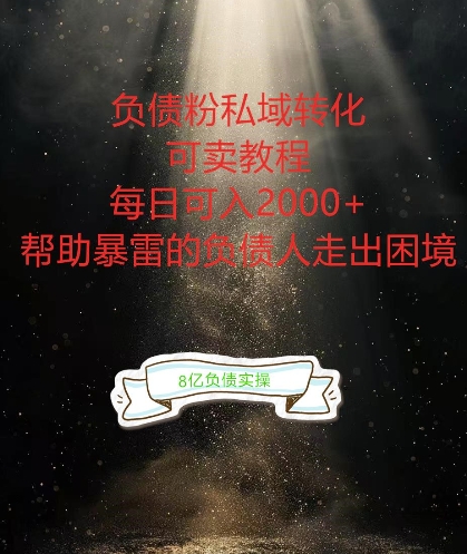 负债粉掘金计划，帮助负债者解决问题，债务规划，债务重组，最好的变现方式【揭秘】-吗喽副业资源站
