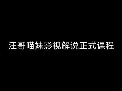 汪哥影视解说大师课：揭秘剪映PR秘籍+5大视剪黄金法则+7大神器全流程实战-吗喽副业资源站