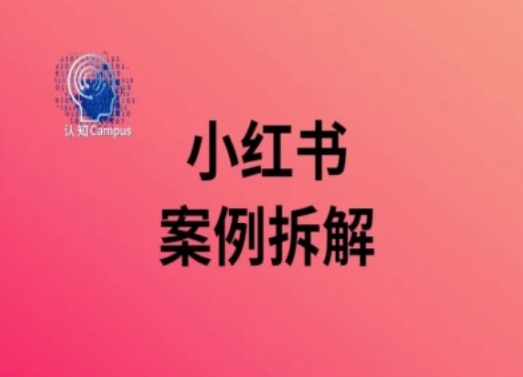 小红书爆粉秘籍：40万粉大号案例深度剖析-吗喽副业资源站