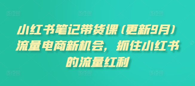 小红书笔记带货课(更新9月)流量电商新机会，抓住小红书的流量红利-吗喽副业资源站