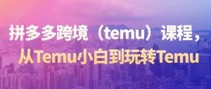拼多多跨境（temu）课程，从Temu小白到玩转Temu-吗喽副业资源站