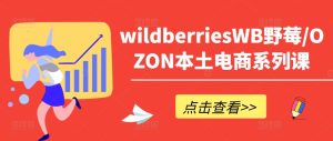 wildberriesWB野莓/OZON本土电商系列课，掌握WB产品优化，出单技巧和订单处理等-吗喽副业资源站