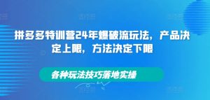 拼多多特训营24年爆破流玩法,产品决定上限,方法决定下限,各种玩法技巧落地实操-吗喽副业资源站