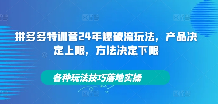 拼多多特训营24年爆破流玩法，产品决定上限，方法决定下限，各种玩法技巧落地实操-吗喽副业资源站