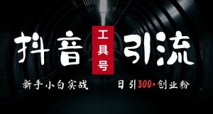2024最新抖音工具号引流玩法，高效日引300+创业粉，当天变现5k，小白也可成为实战高手-吗喽副业资源站