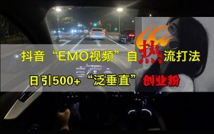 抖音EMO视频自热打法，日引500+“泛垂直”创业粉-吗喽副业资源站