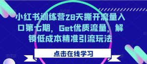 小红书训练营28天撕开流量入口第七期，Get优质流量，解锁低成本精准引流玩法-吗喽副业资源站