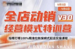 全店动销经营模式特训营，指哪打哪100%精准拉新保姆式起店实操课程-吗喽副业资源站