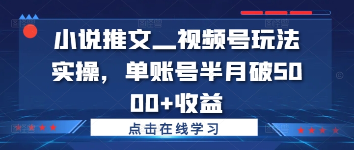 小说推文—视频号玩法实操，单账号半月破5000+收益-吗喽副业资源站
