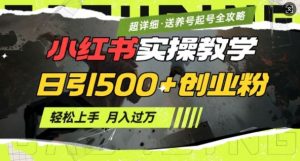 2月小红书最新日引500+创业粉实操教学【超详细】小白轻松上手，月入1W+，附小红书养号起号SOP-吗喽副业资源站