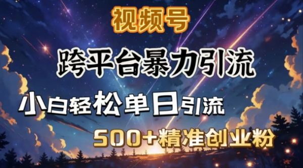 跨平台暴力引流，私域完美闭环，日引500+精准创业粉-吗喽副业资源站