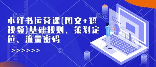 小红书运营课(图文+短视频)基础规则、策划定位、流量密码-吗喽副业资源站